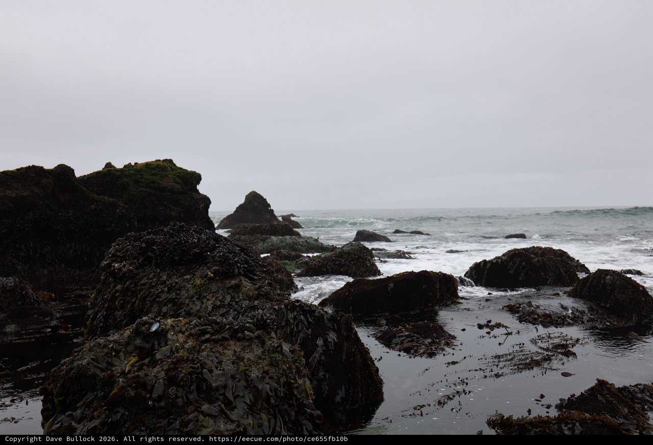 Storm-Washed Tide Pools at Schoolhouse Beach