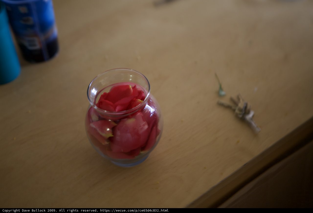Red Flowers in Glass Vase