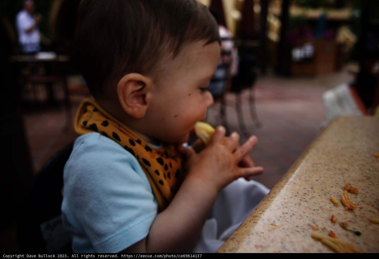 A Delicious Adventure in Disneyland
