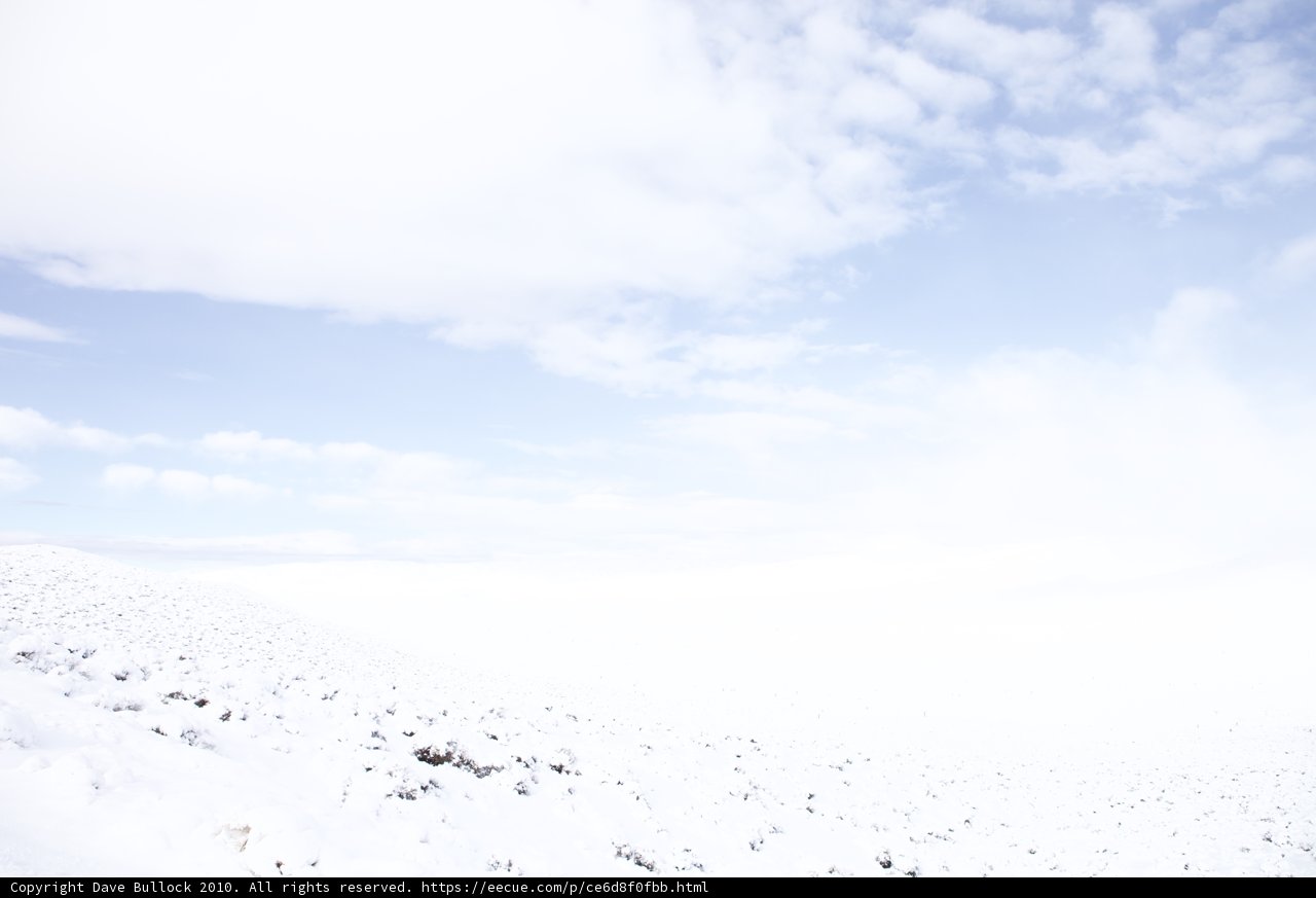 Solitude on the Winter Horizon
