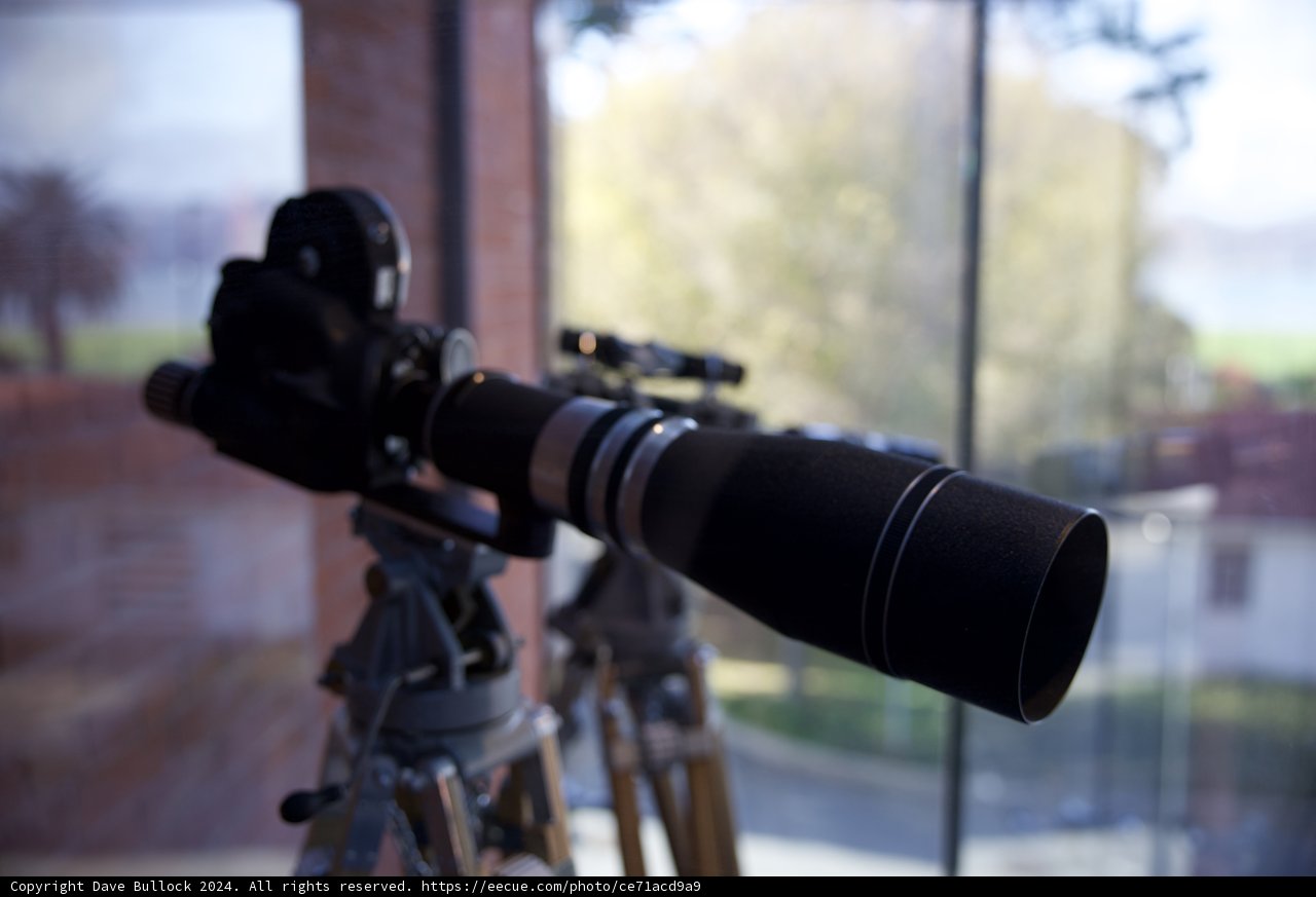 Capturing Moments in the Walt Disney Family Museum
