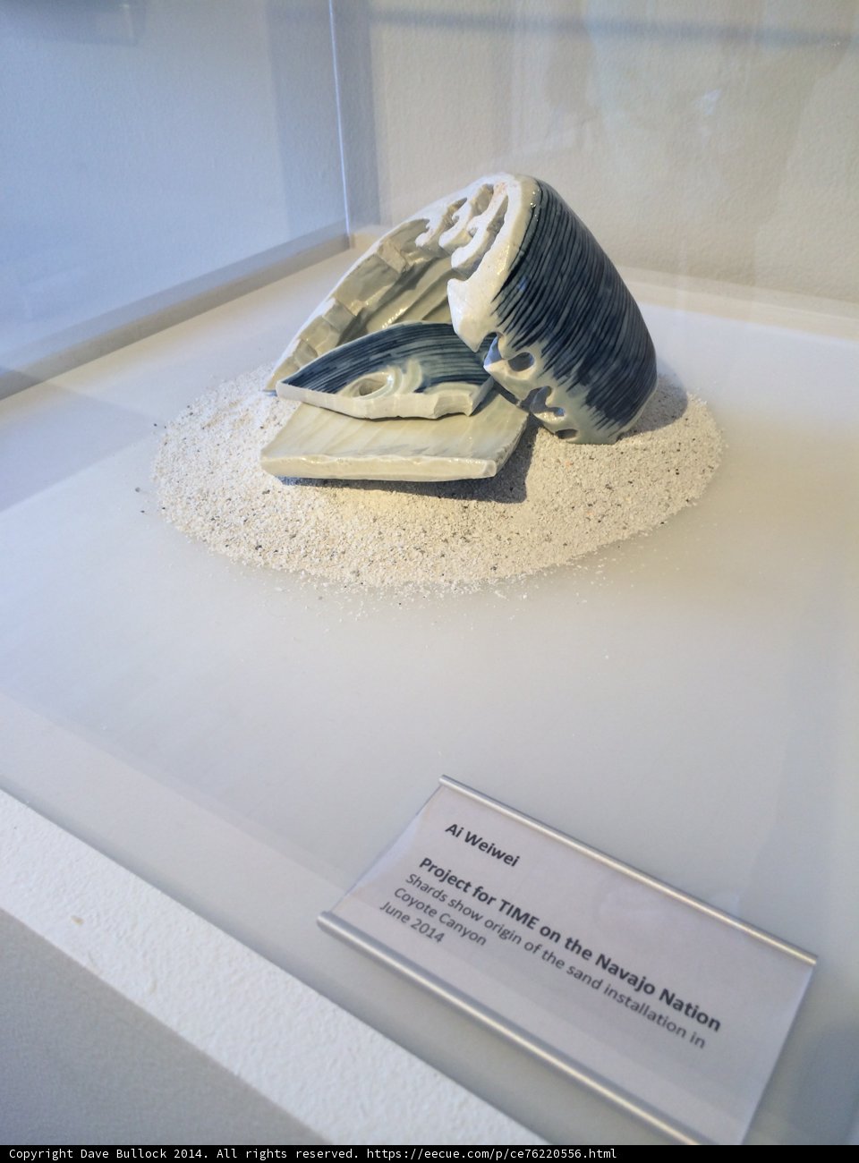 Seashell Sculpture on Display