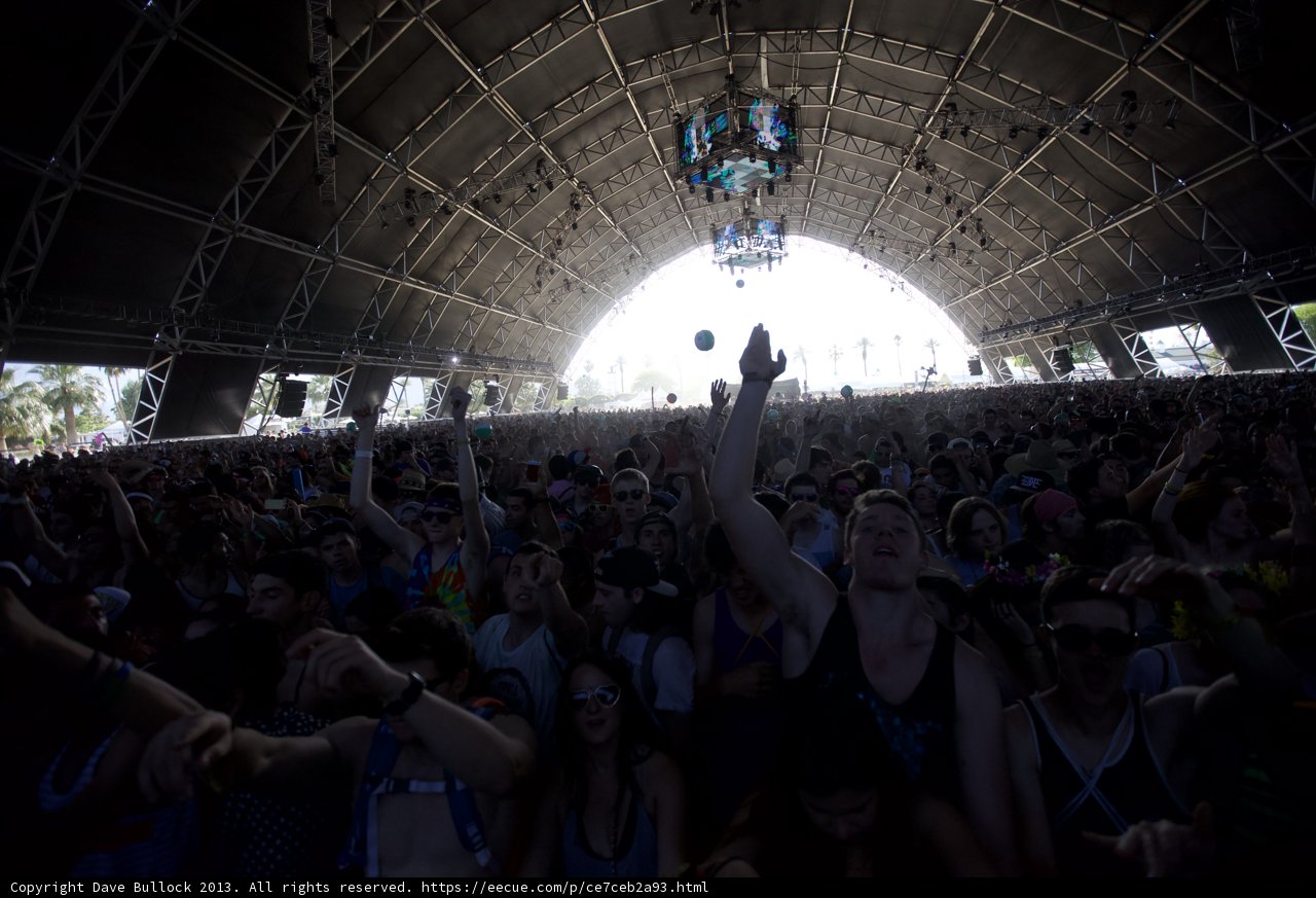 Coachella's Hypnotic Crowd