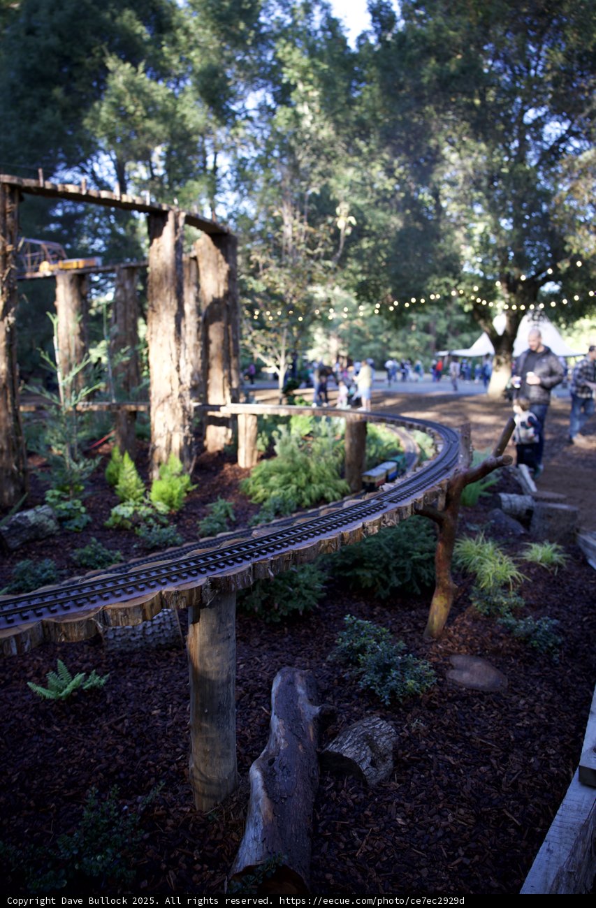 Enchanted Woodland Railway