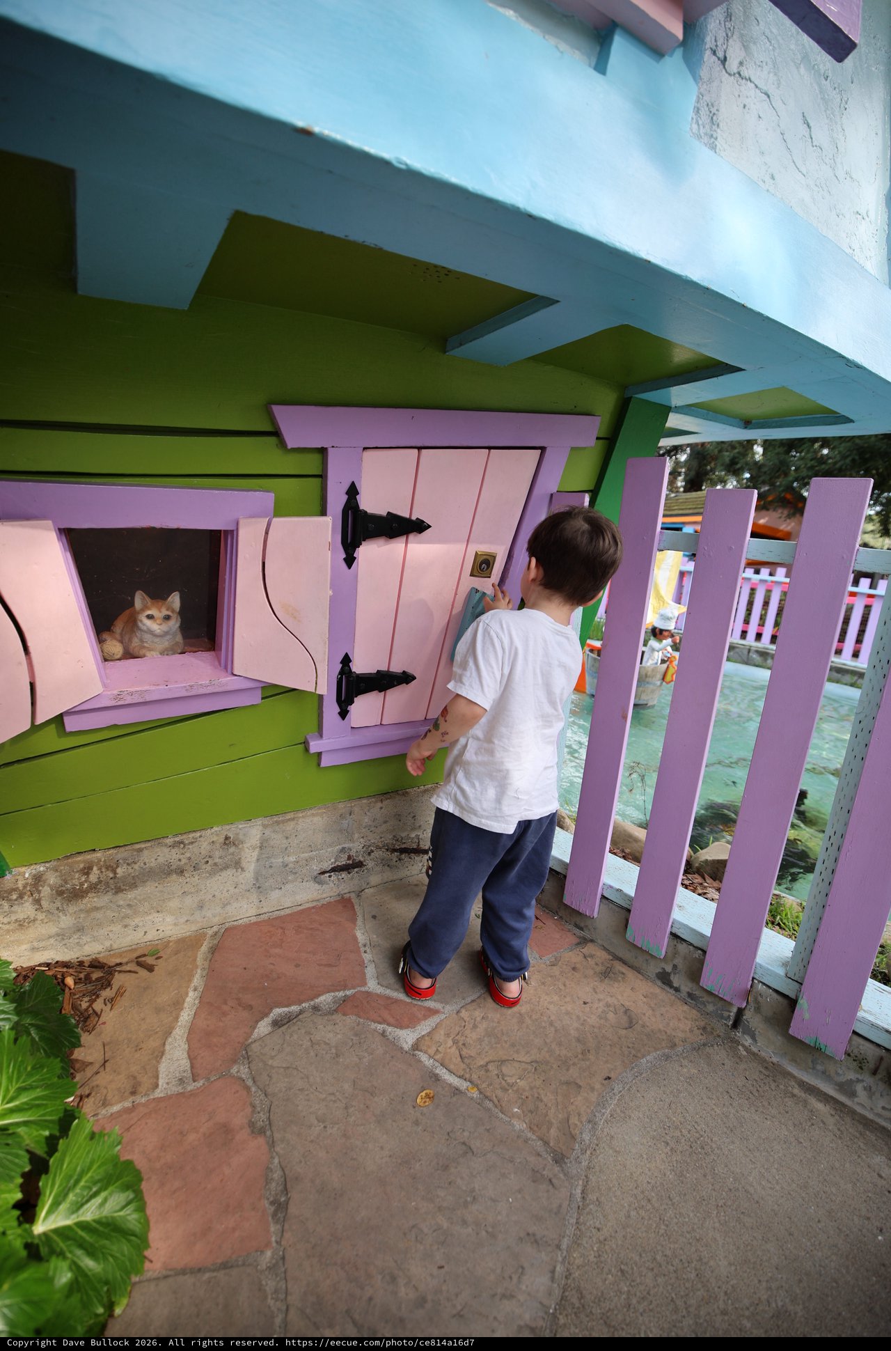 Young Child Discovers Cat in Colorful Miniature House