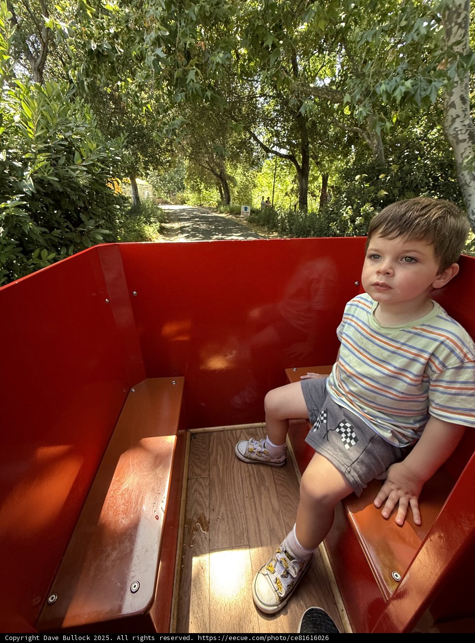 Adventure Awaits in Walnut Creek