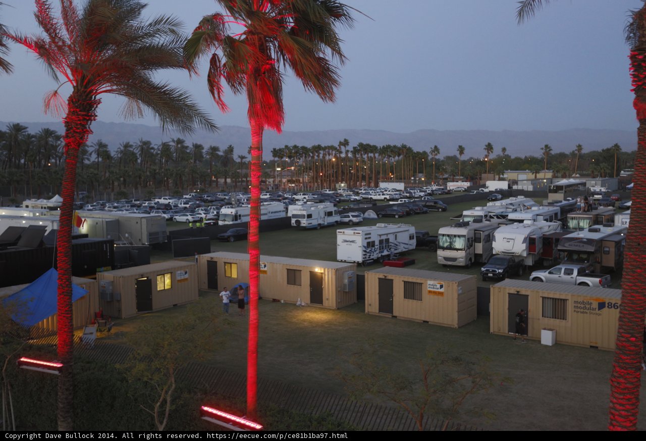 Red glow on a towering Palm Tree