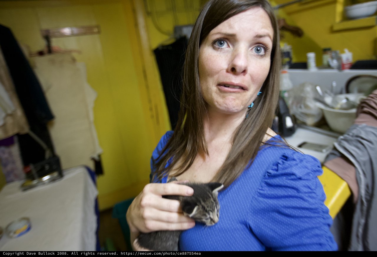 Woman Holds Tiny Kitten with Surprised Expression
