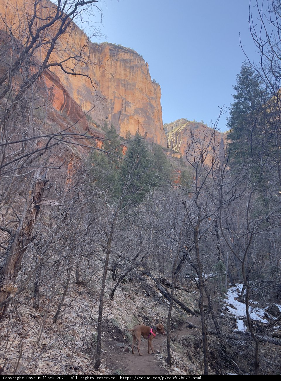 Hiking the Wilderness of Coconino National Forest