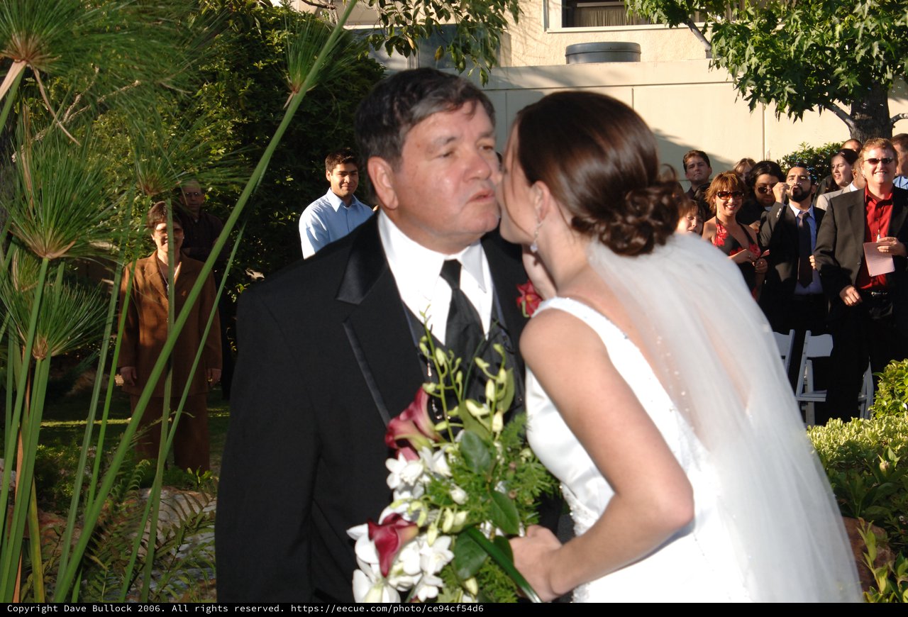 Bride Shares Tender Kiss with Father at Wedding