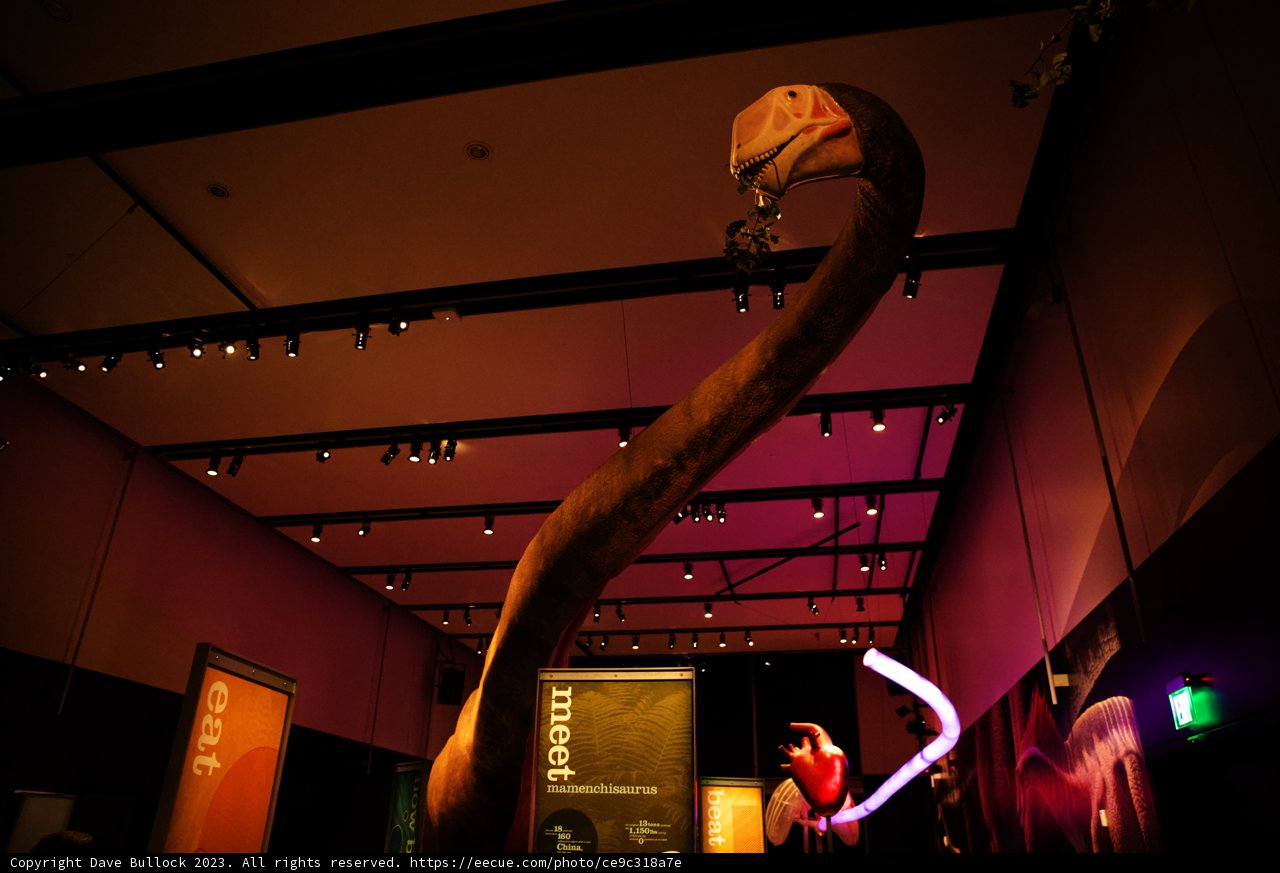 Serpentine Exhibit at the California Academy of Sciences