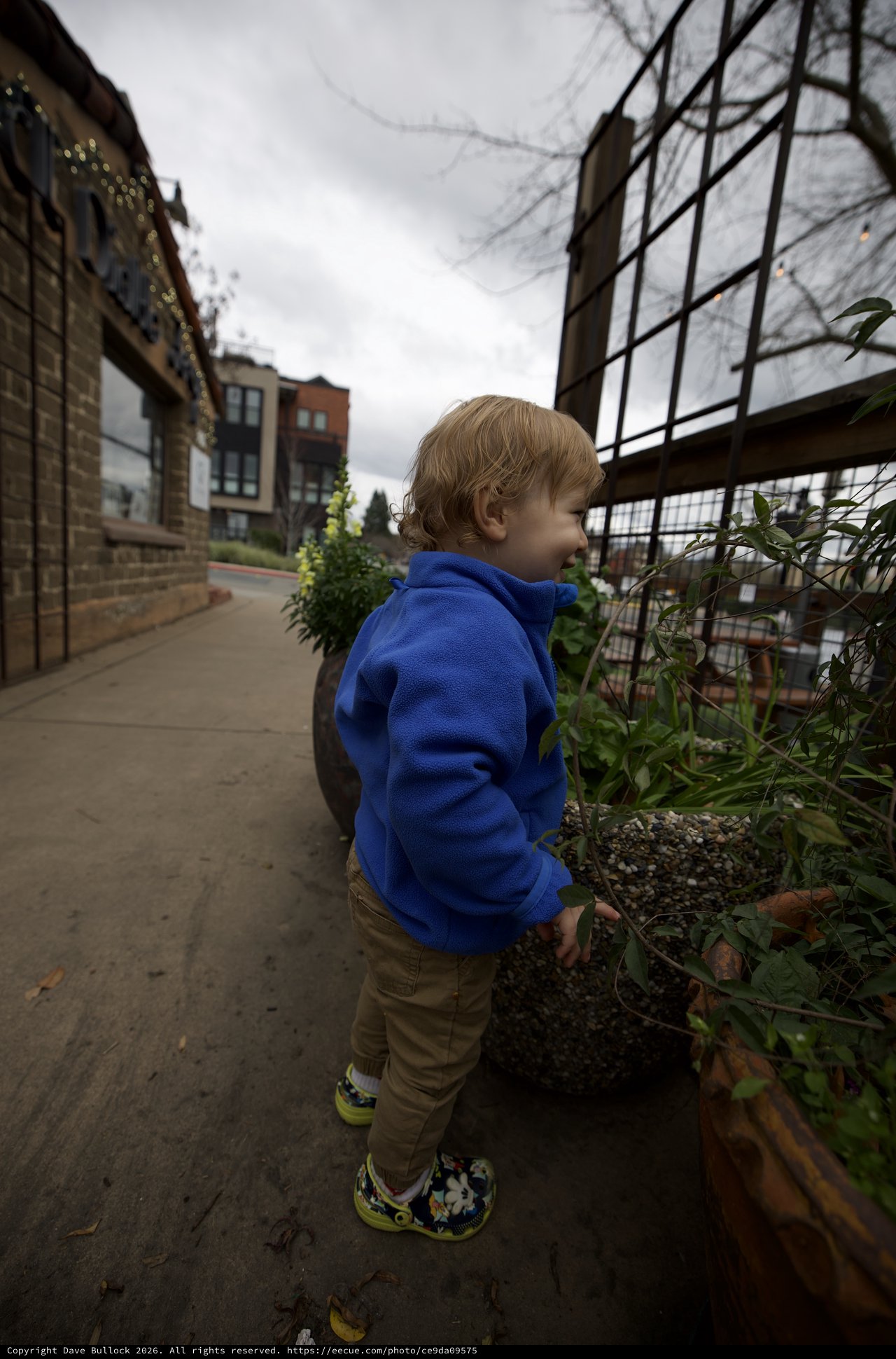 Young Child Exploring Urban Community Garden