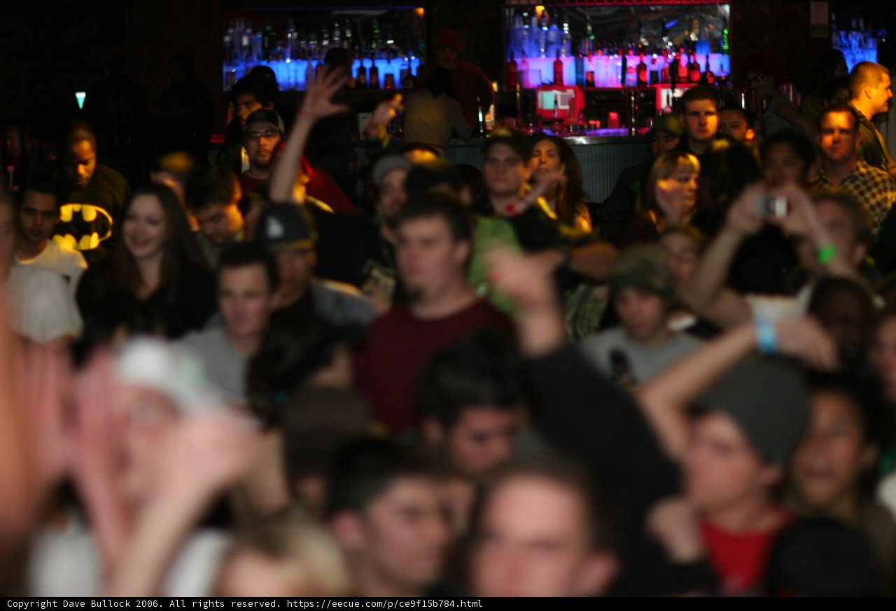 Bass Rush Party
