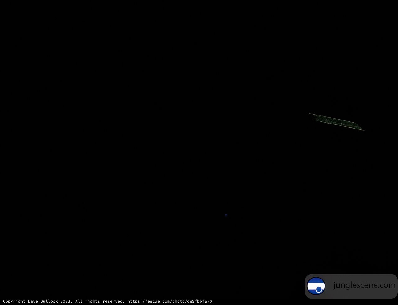 Night Flight
