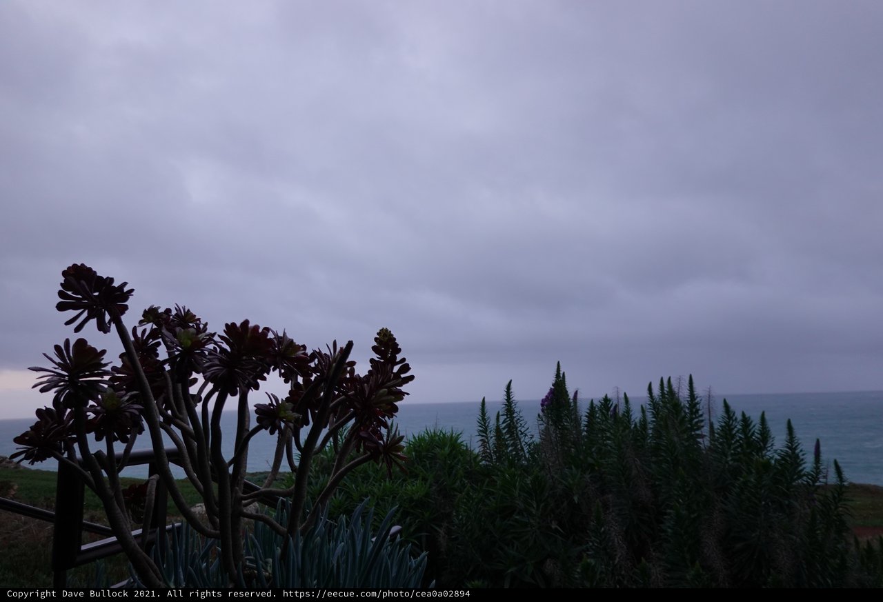 Coastal Evening with Dramatic Purple Sky