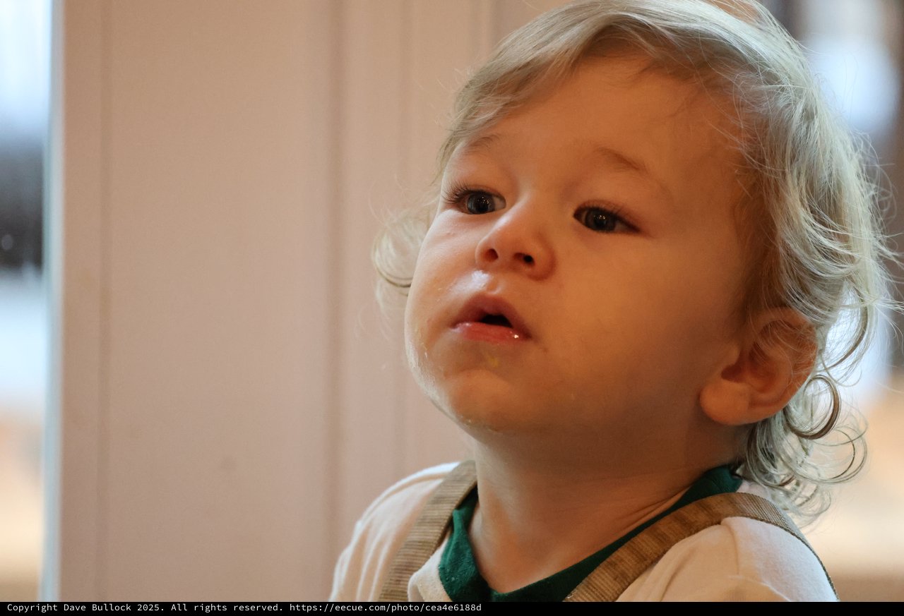 Curious Toddler with Blonde Curls Looking Up