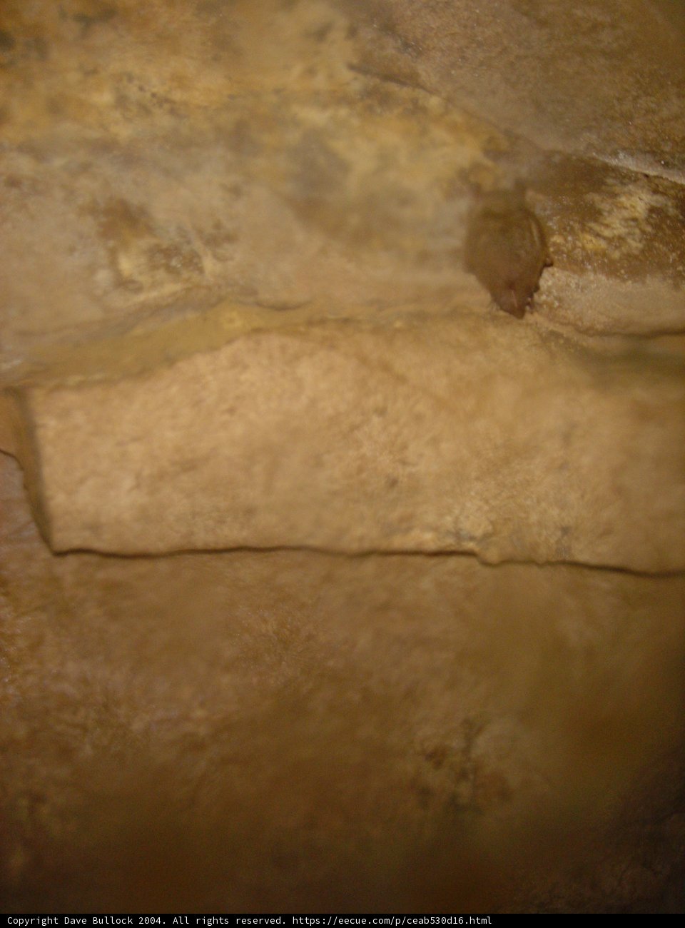 Exploring the Depths of the Stone Dungeon