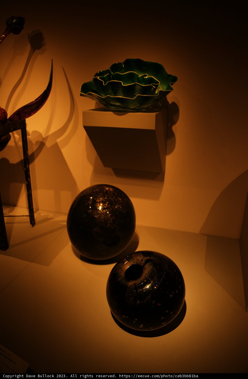 Harmony of Art and Nature at de Young Museum, 2023