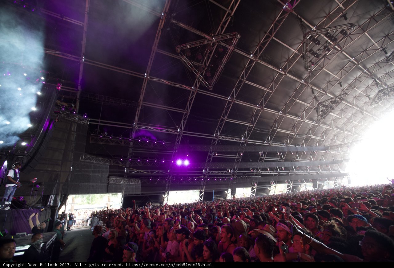 Concert Crowd in Lavender Lighting
