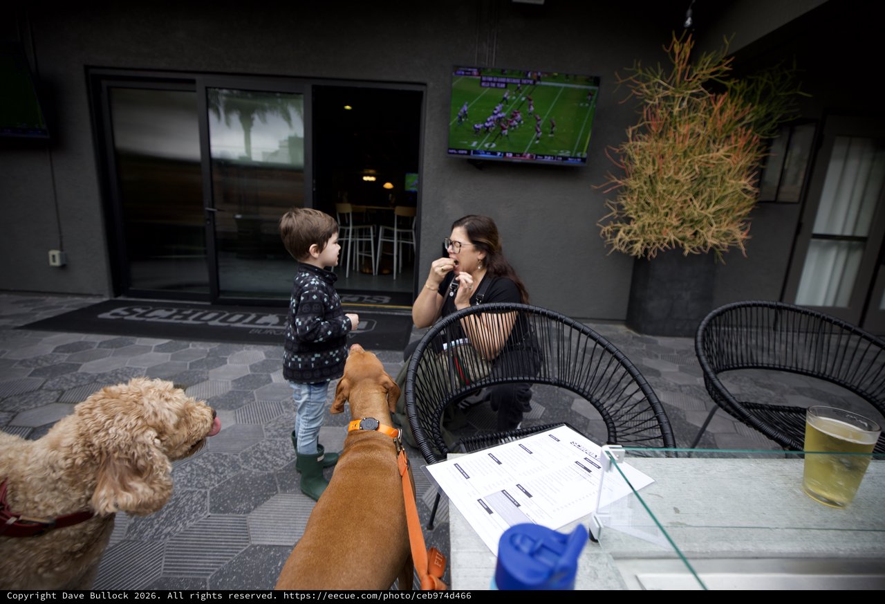 Family Time with Dogs at Modern Outdoor Patio