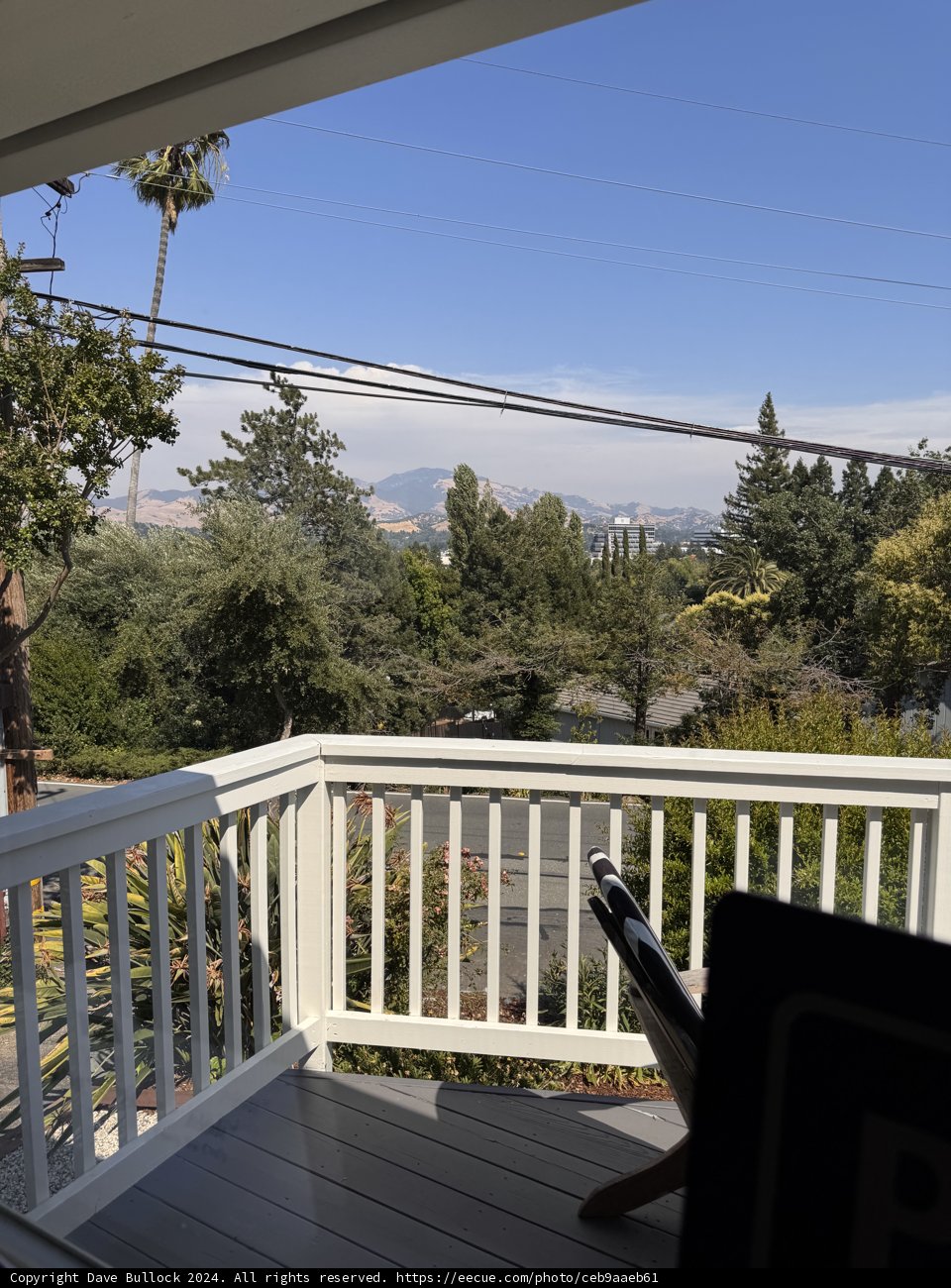 Tranquil Views from the Balcony
