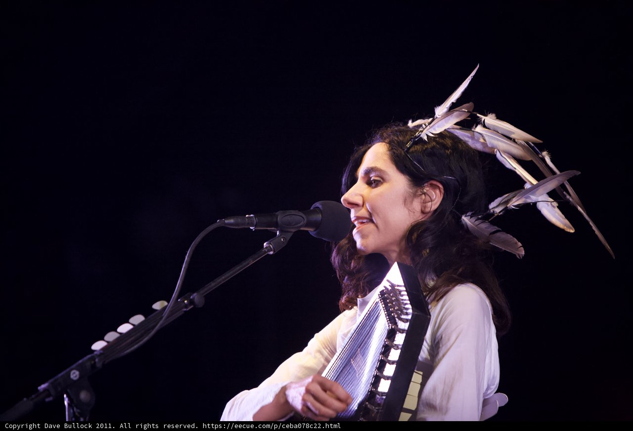 Feathers and Music