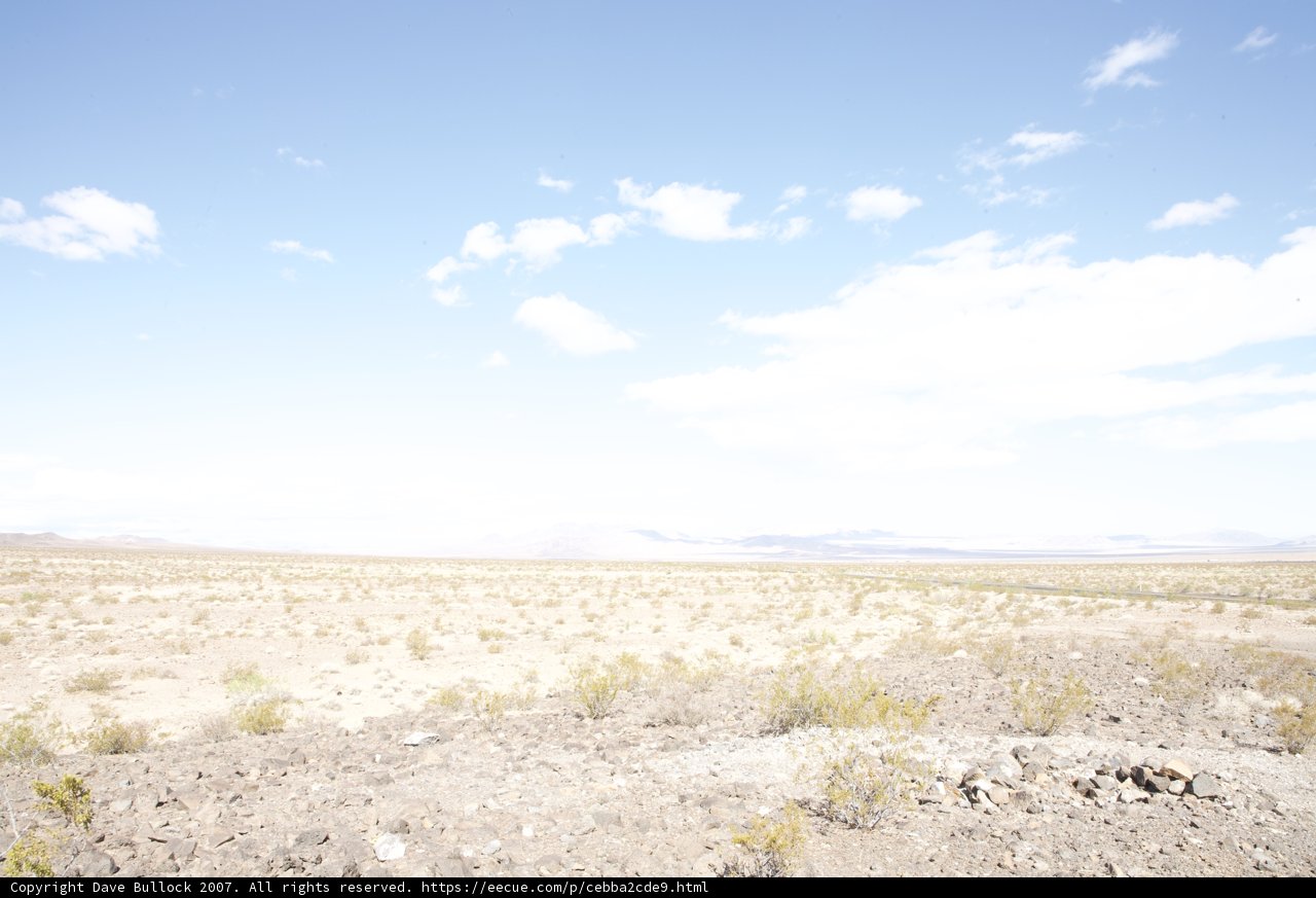 Solitude in the Sandy Horizon