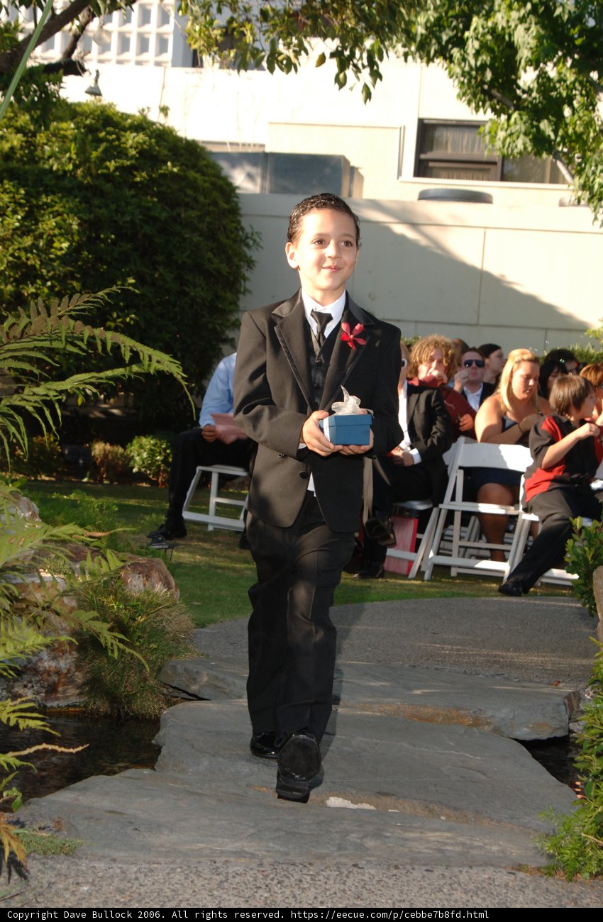 Young Boy in Formal Attire Walking Down a Path