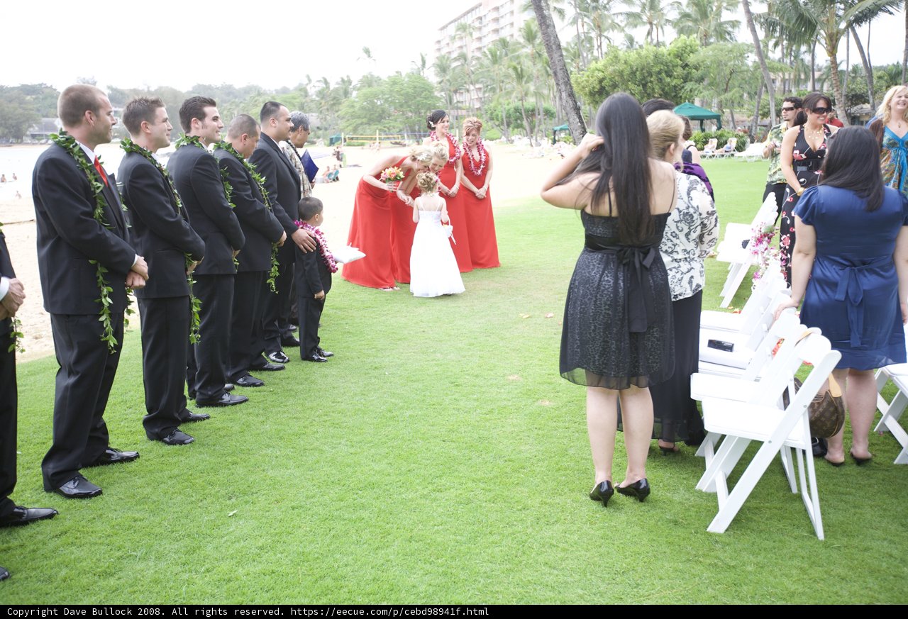 A Beautiful Outdoor Wedding Ceremony
