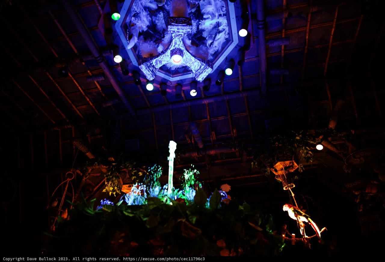 Enchanted Tree Illumination in Disneyland