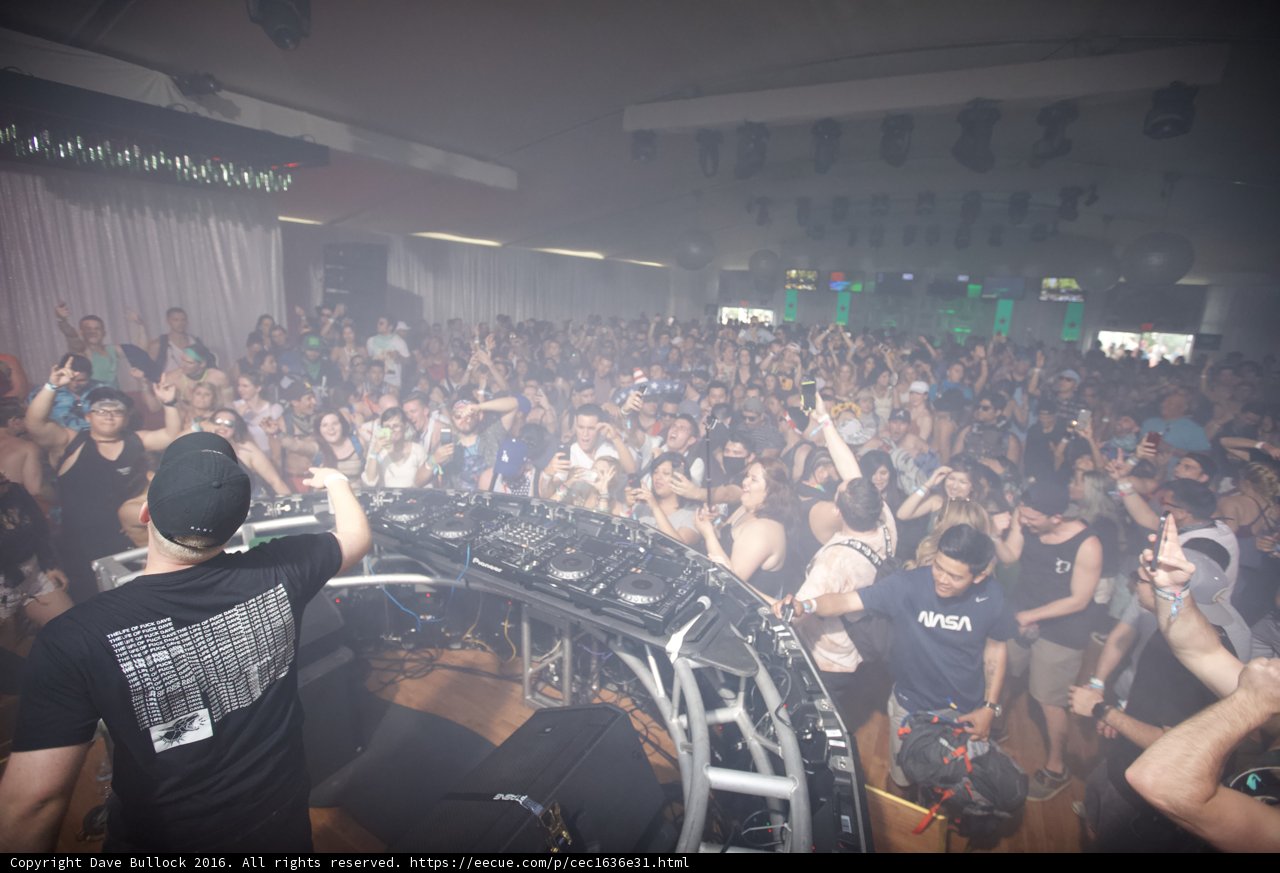Clubbing with the Urban Crowd