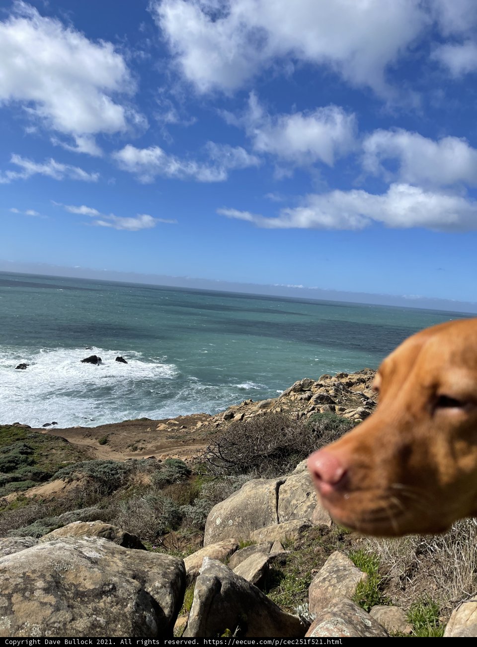 Rocky Coastline Serenade