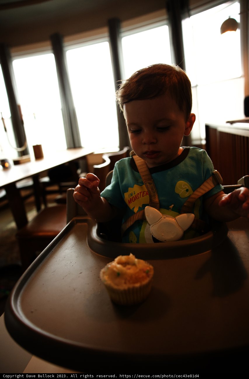 Wesley's First Birthday Celebration
