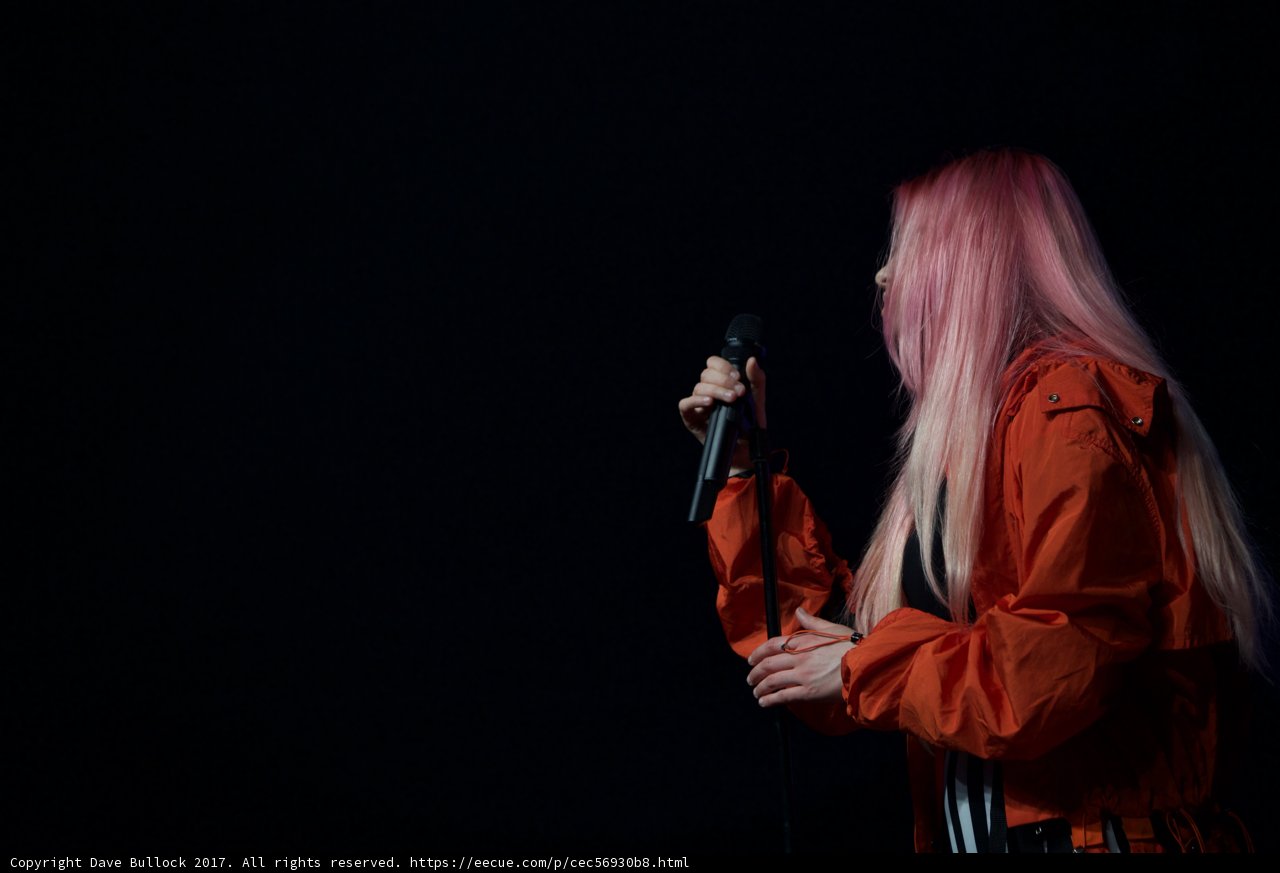 The Pink Haired Songbird