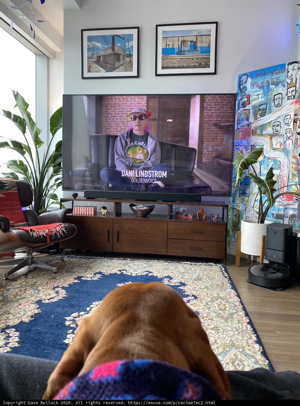 The Watchful Hound