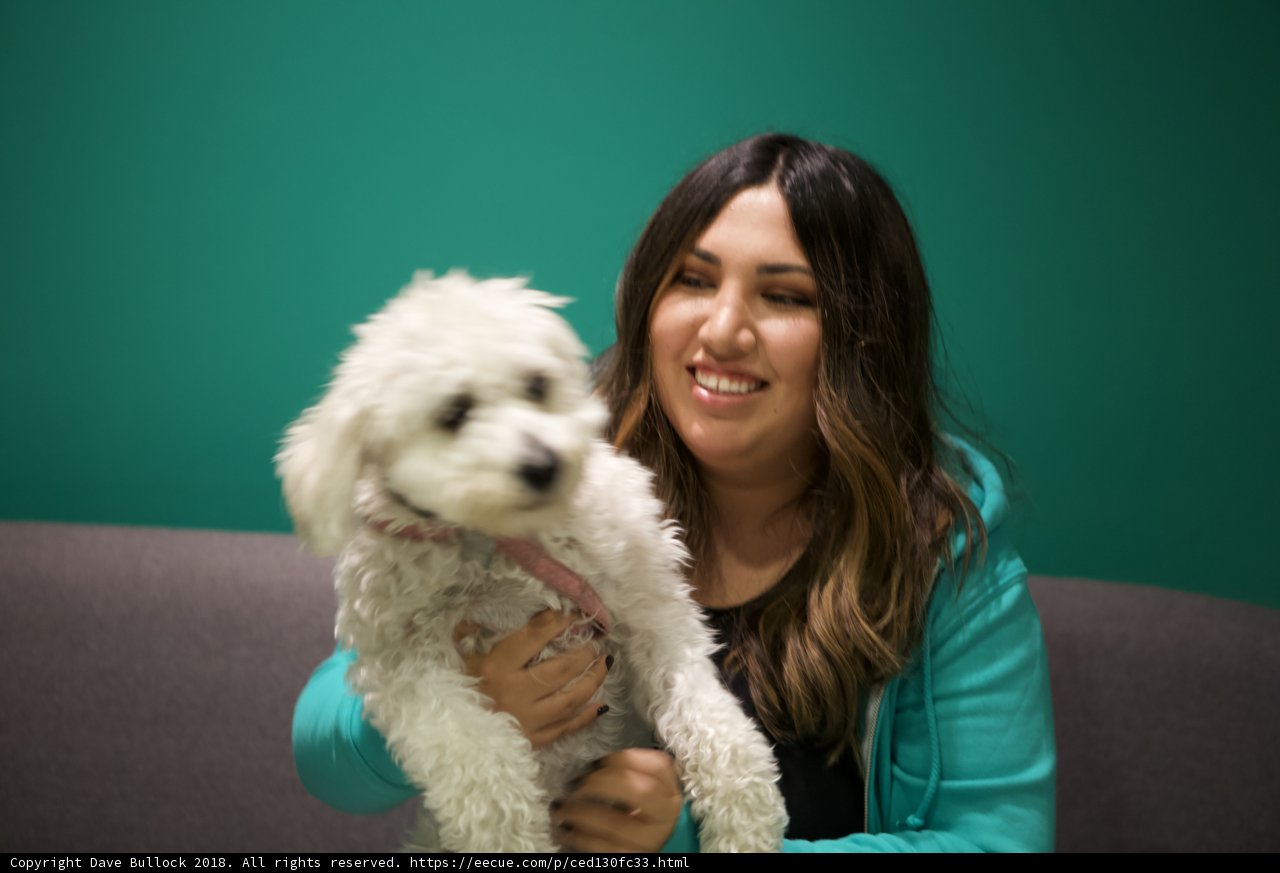 A Happy Woman with her Beloved Bichon Poodle