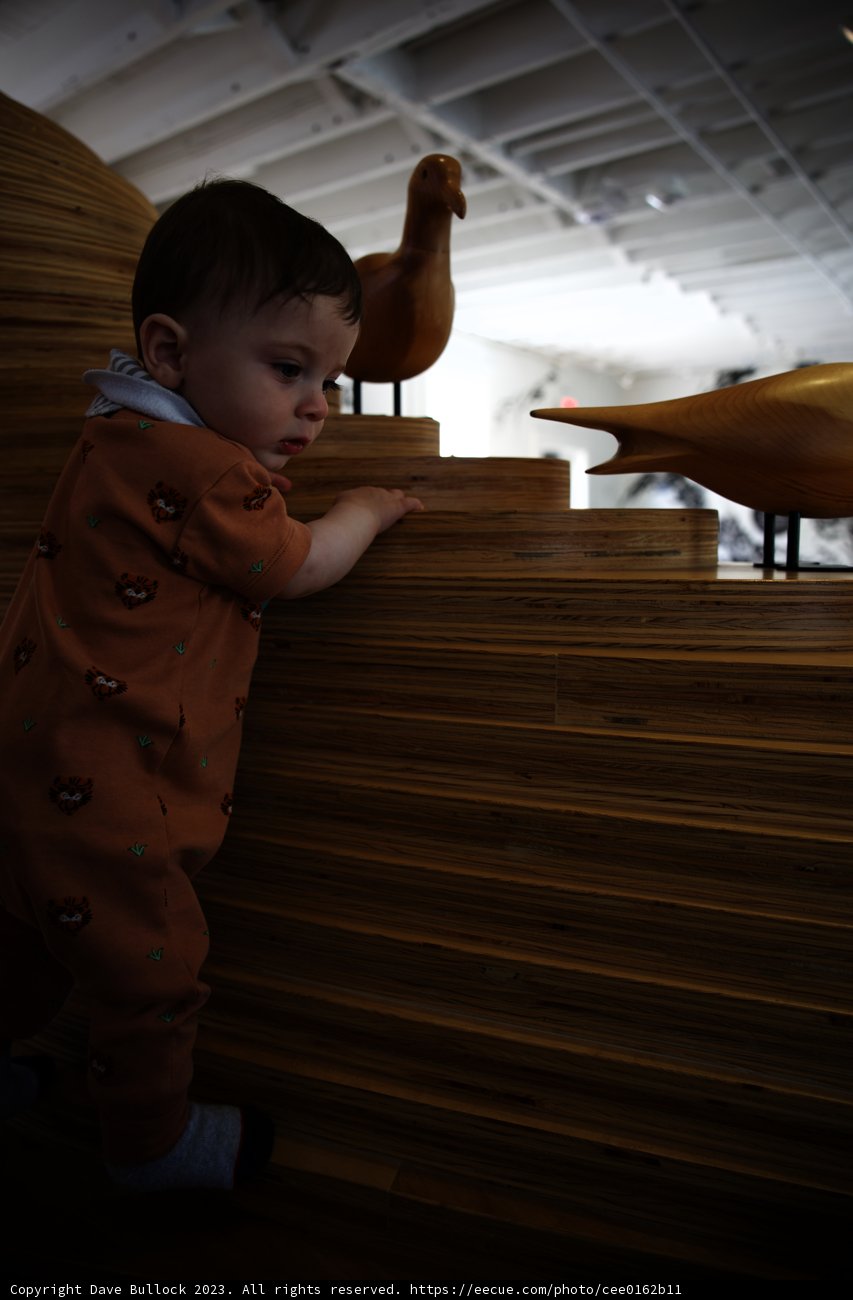 Wesley's Staircase Adventure at the Bay Area Discovery Museum