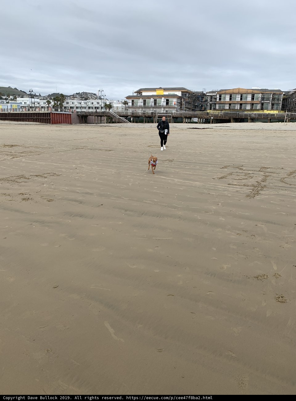 Walking the Dog on Pismo State Beach