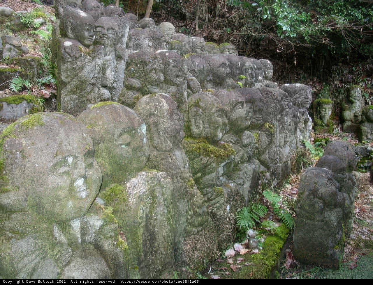 The Stone Guardians of the Forest
