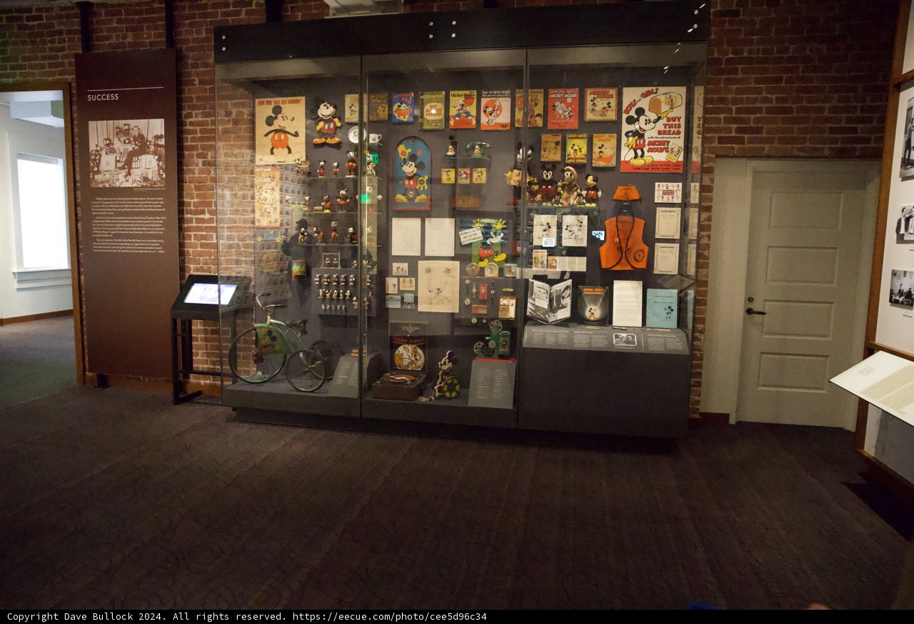 The Wide Array of Wonder: A Glimpse into Disney's Furry Friends Display