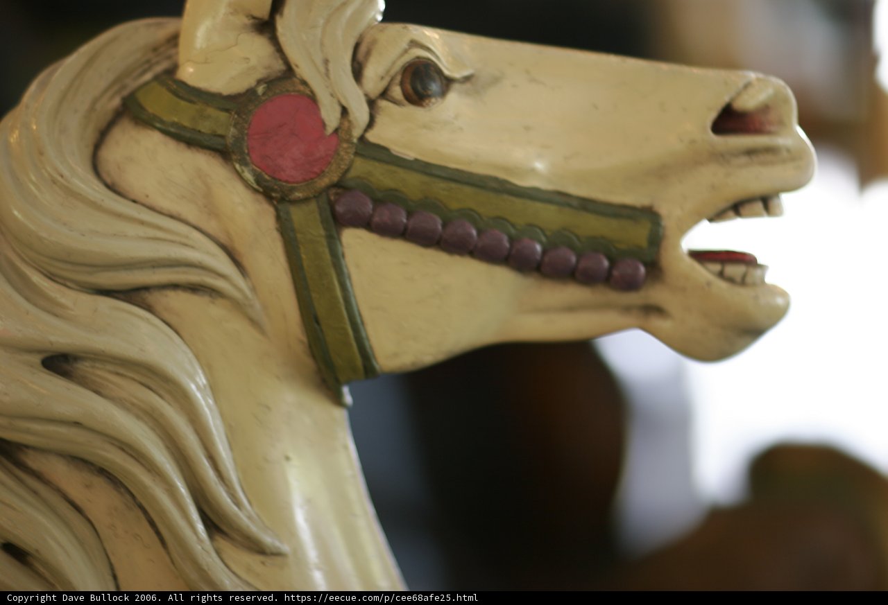 The Enchanted Carousel Horse