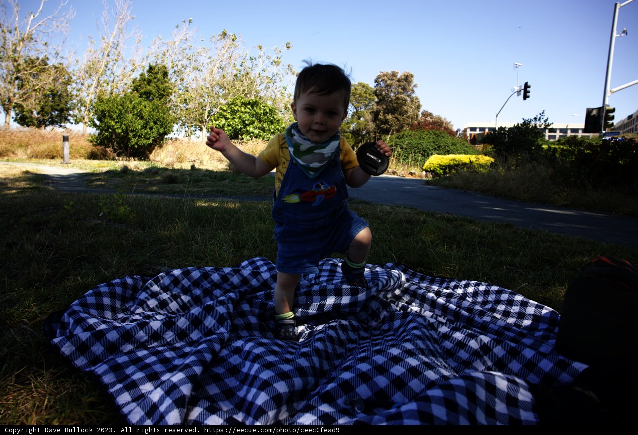 Innocence in the Grass: Summer day at Bayfront Park
