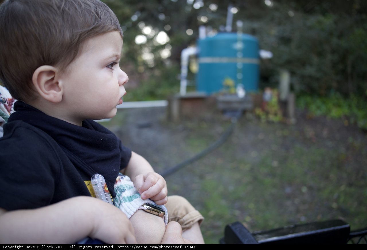 Little Discoverer: Wesley at the SF Zoo