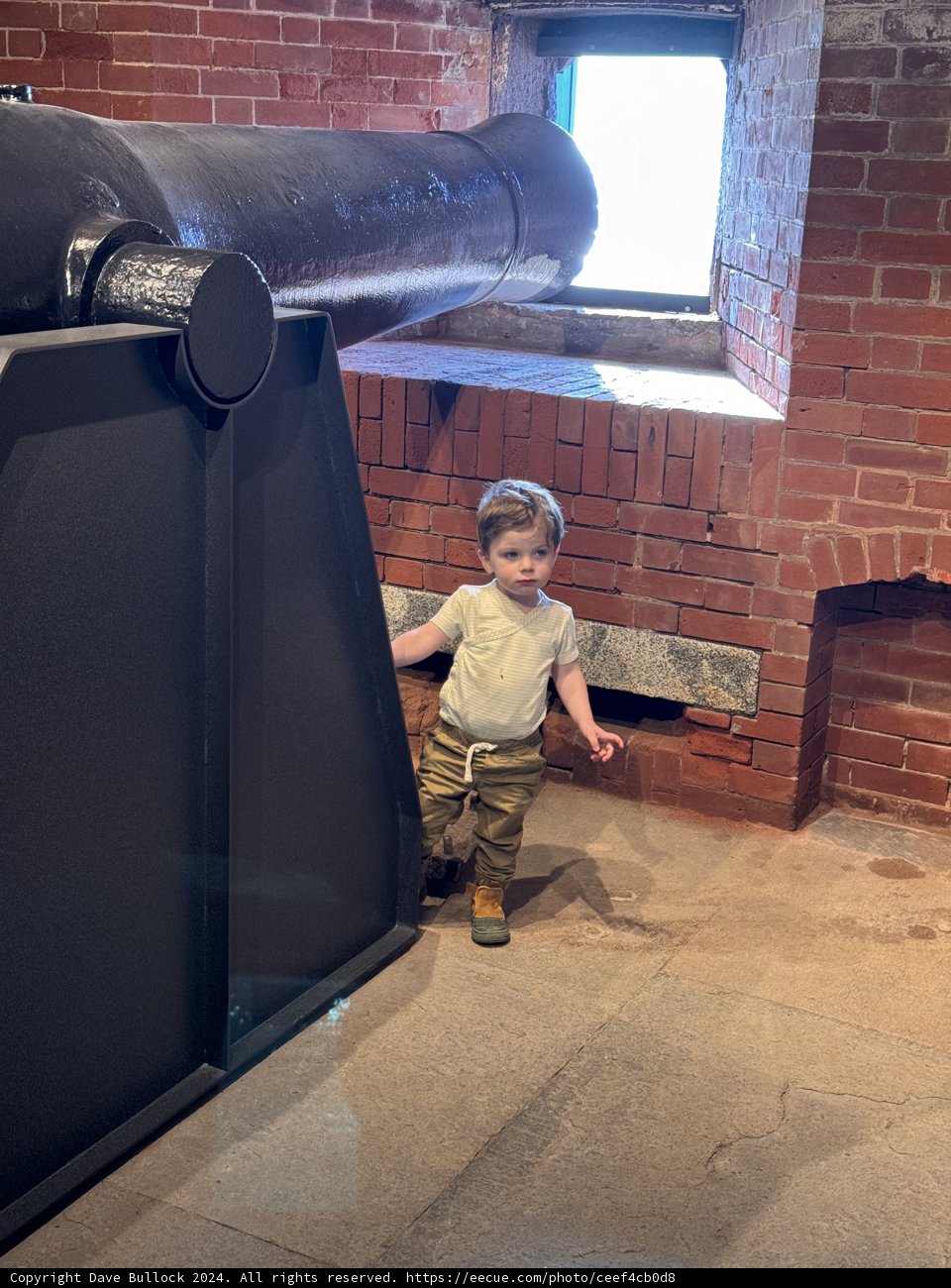 Urban Adorable Explorer