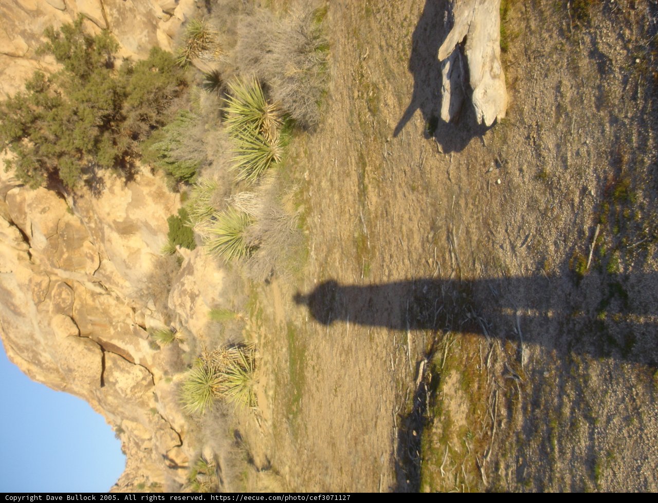 Shadow of the Rocks