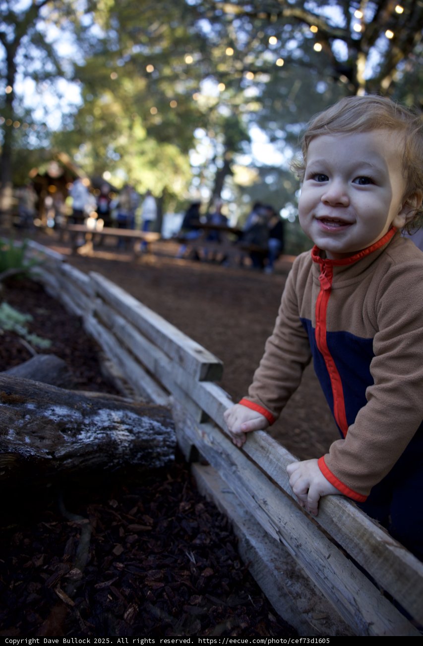 Joyful Adventurer at Thistlewyck