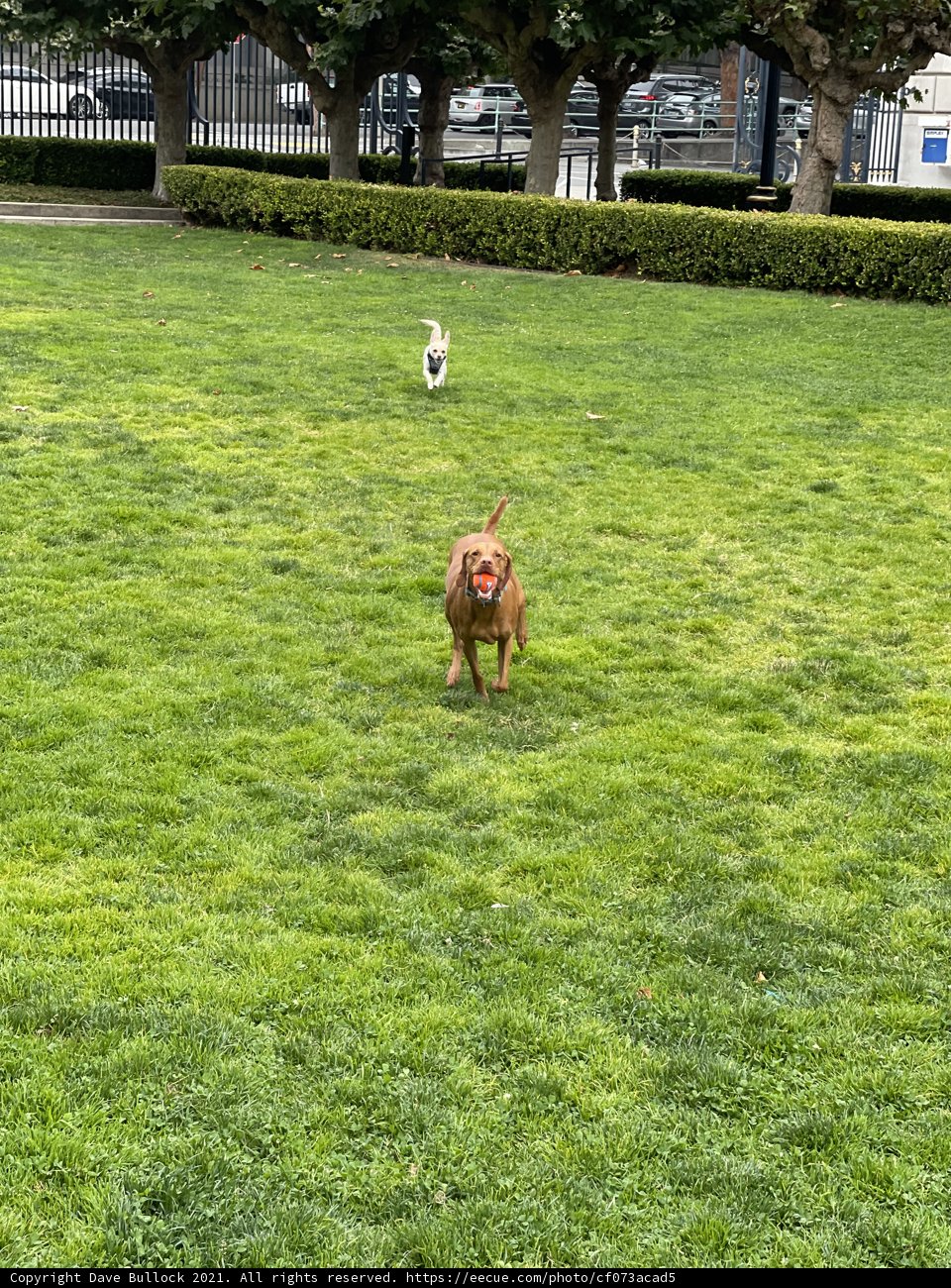 Playtime in the Park