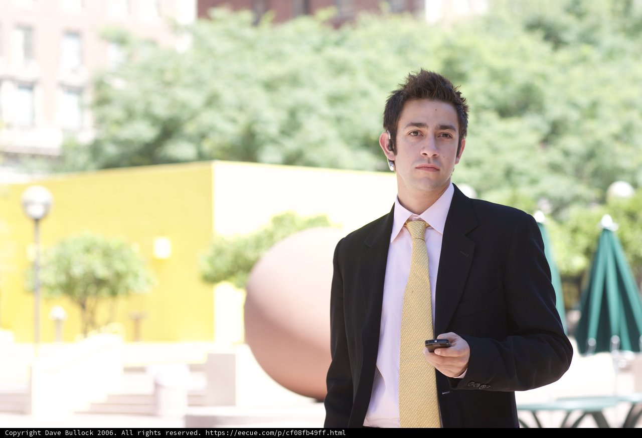Formal Business Call