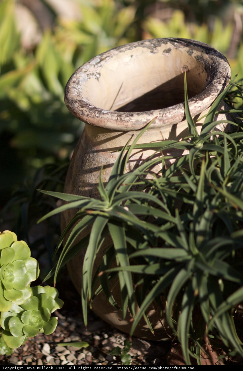 Pottery with a Purpose