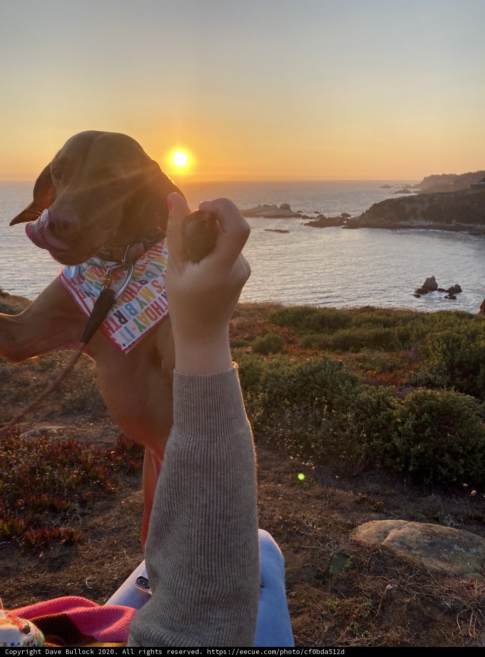 Sunset cuddles by the Sea